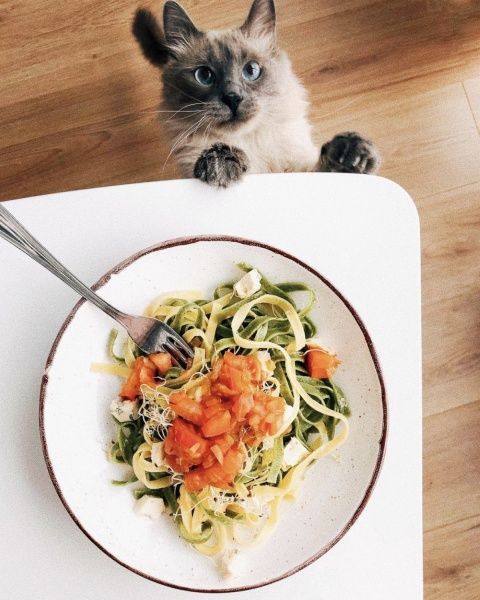 Тарілка з високим бортиком 22 см Мілк Manna Ceramics