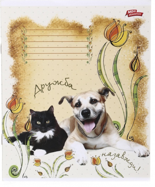 Зошит шкільний 12 аркушів у лінійку дизайн в асортименті Мрії збуваються