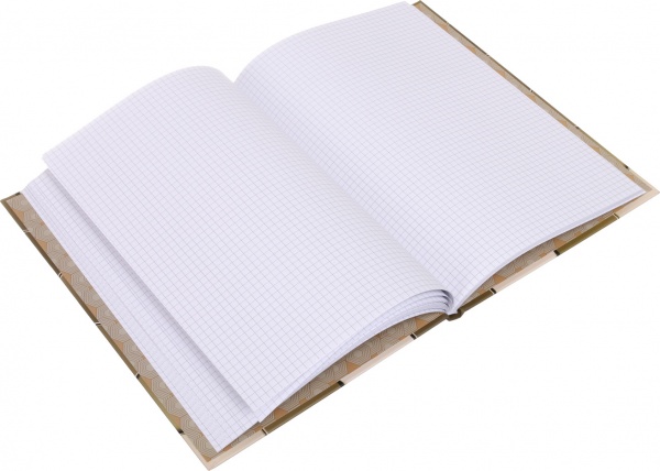 Книга учета Престиж А4 96 листов в ассортименте Аркуш