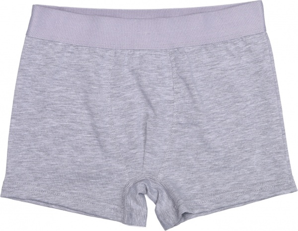 Труси для хлопчиків KOSTA 1401-10 р.158-164 сірий 