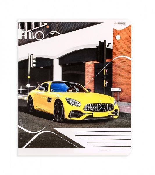 Комплект зошитів Популярні автомобілі 24 аркуша в клітку 20 шт. Поділля