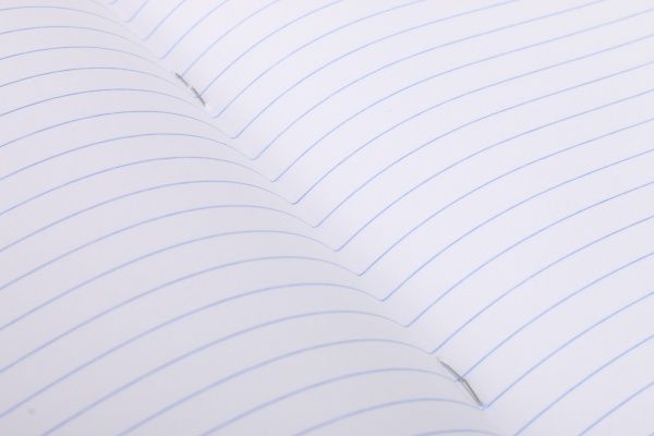 Тетрадь школьная ЕКО 24 листа в клетку Мечты сбываются