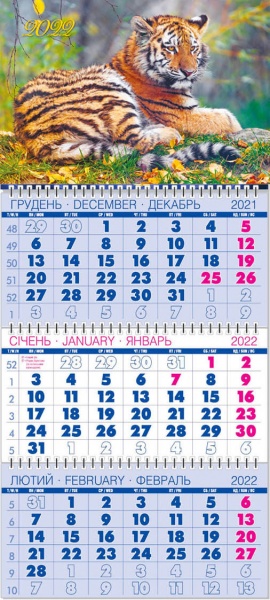 Календарь Діана Плюс Квартальний одна пружина 2022