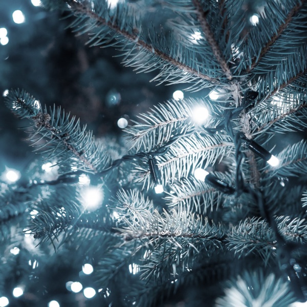 Электрогирлянда линейная Starlight Flash IP44 (57273) встроенный светодиод (LED) 100 ламп 5 м 