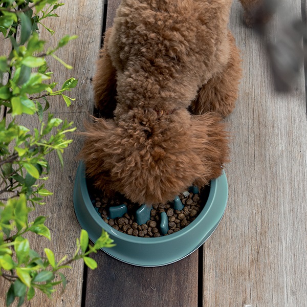 Миска Stefanplast повільне годування 