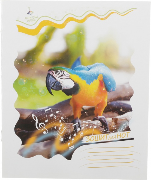 Тетрадь для нот Музыкальные 5 12 листов в ассортименте