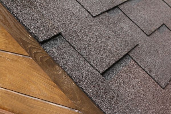 Будинок для собак Класика економ 1250х950 мм велика сосна двоскатний дах