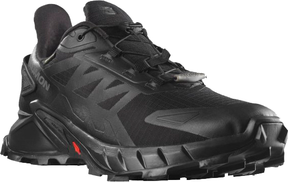 Кроссовки Salomon SUPERCROSS 4 GTX L41731600 р.45 1/3 UK 10,5 28,5 см черный