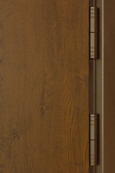 Дверь входная Термо House-703 улица дуб бронзовый 2050x1200 мм правая