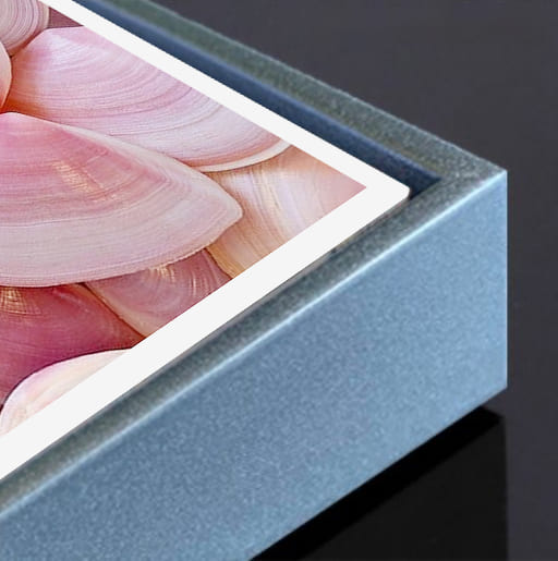 Картина на холсте М008 Shell 55x80 см ТЕРРАВОЛ 