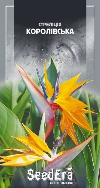 Семена Seedera стрелитция королевская комнатная 5 шт.