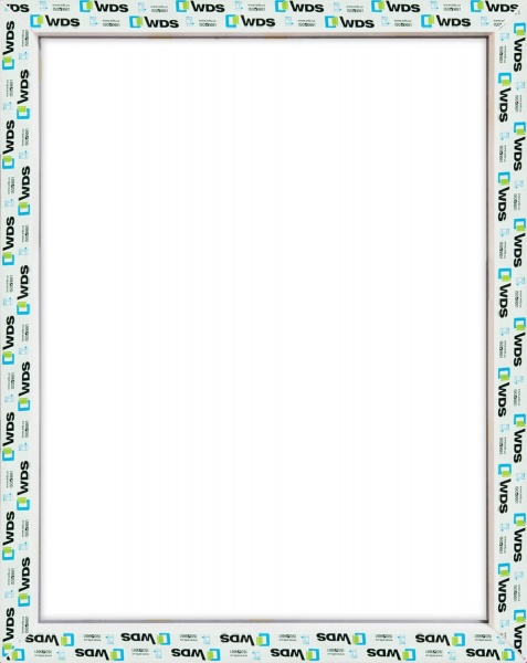 Окно глухое WDS 5S 800x1000 мм без открывания 90215643 