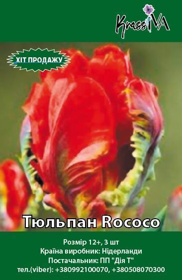 Луковица Тюльпан Rococo 3 шт. 