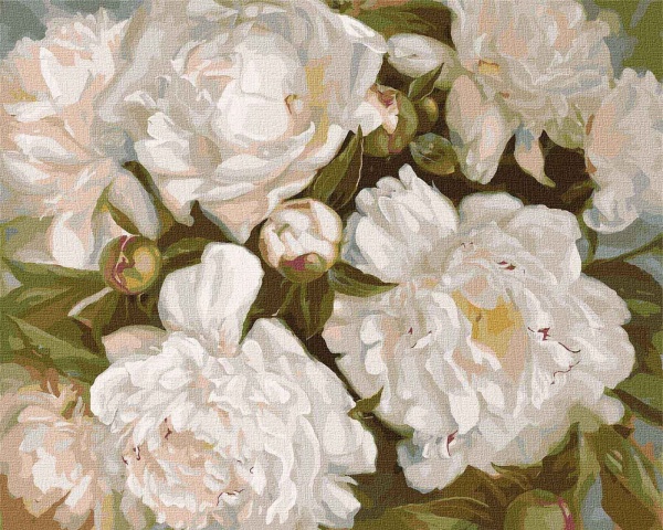 Картина за номерами Білосніжна краса 40х50 см Ідейка 