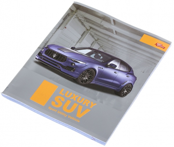 Зошит шкільний срібло 96 аркушів у клітинку в асортименті Мрії збуваються