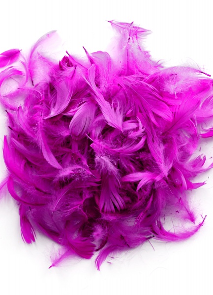 Наполнитель Перья 5889