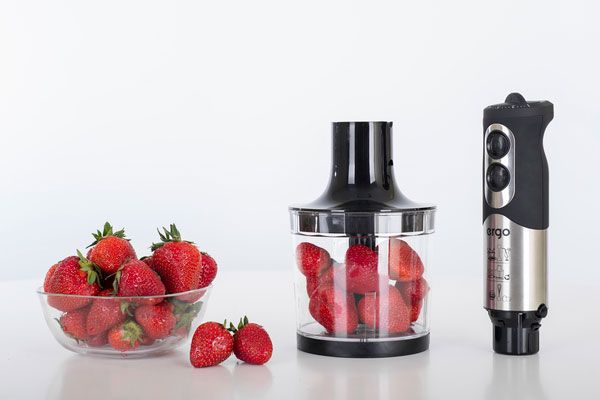 Блендер Ergo EHB 5000 