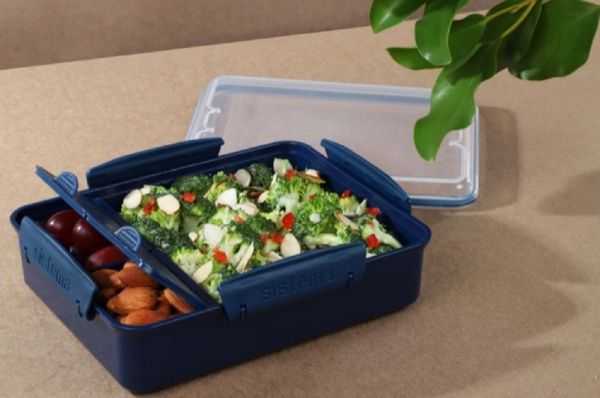 Контейнер для хранения RENEW две секции 0,975 л пластик синий 02500202 Sistema