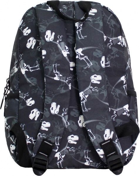 Рюкзак Bagland Young Тиранозавр 25х35х15 см 510664 245