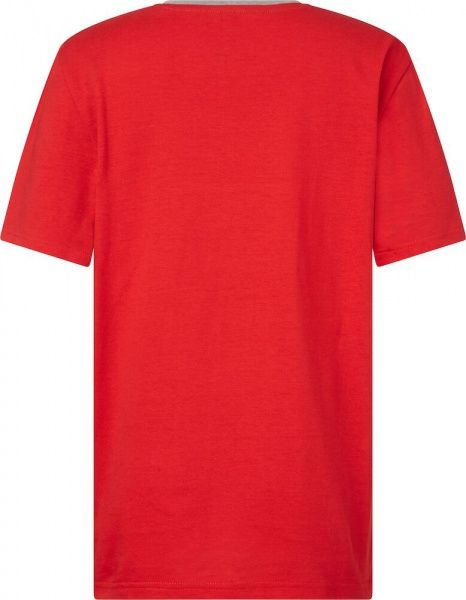 Футболка Energetics Striggy jrs 411034-901027 176 сірий меланж