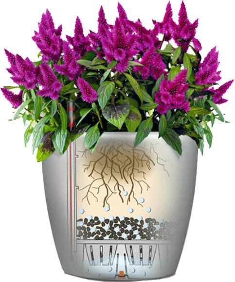 Вазон пластиковий Lechuza Classico Premium LS 28 круглий 19,9л кавовий (16041) 