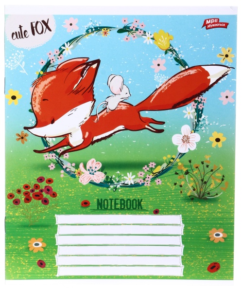 Зошит шкільний 12 аркушів у косу лінію в асортименті Мрії збуваються