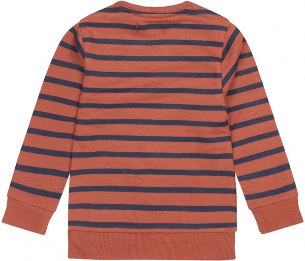 Свитшот для мальчика Dirkje р.80 арабская пряность U44608-35 