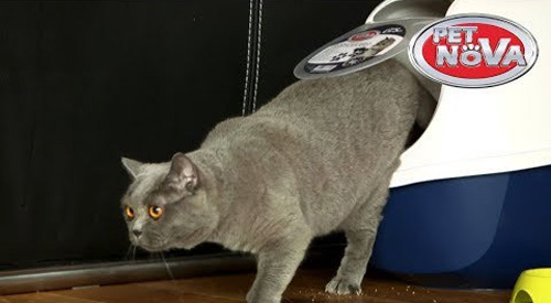 Туалет PetNova закритий 52 см сірий P-CATLIFEPRO-GR