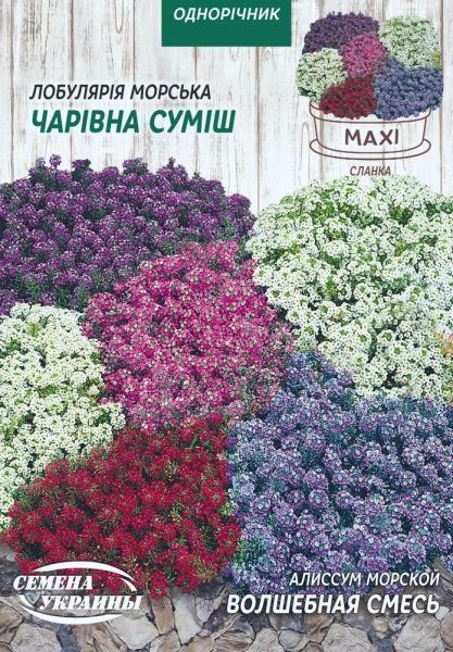 Семена Семена Украины лобулярия Морской Волшебная смесь 2 г