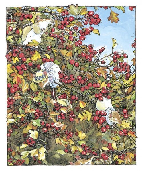 Книга Джилл Барклем «Ожиновий живопліт. Осіння історія» 978-617-7329-63-2