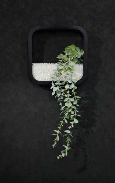 Декор настенный Nature квадратный 22,3x22,3 см черный 