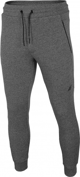 Брюки 4F H4L21-SPMD012-23P р. L темно-серый