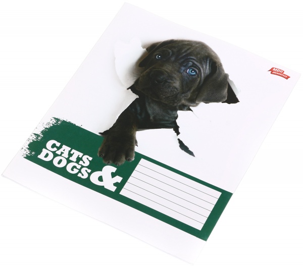 Тетрадь школьная 24 листа в линейку в ассортименте Мечты сбываются