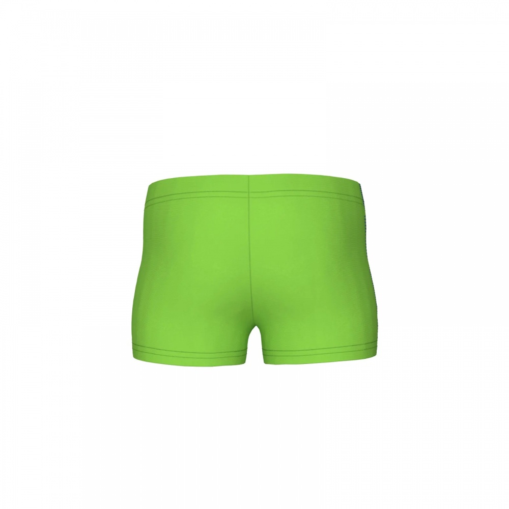 Плавки Arena LOGO KIDS BOY SHORT 003612-600 зелений