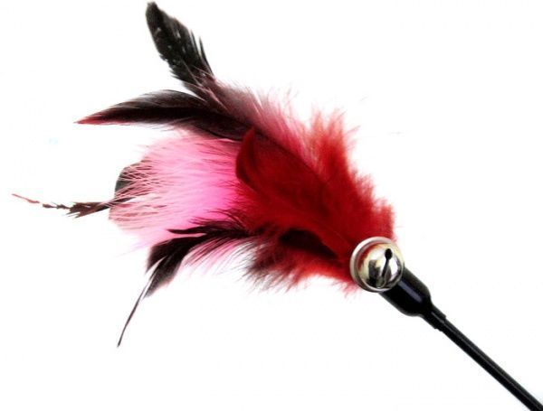 Игрушка для котов Играть и веселиться 49 см 20-7552