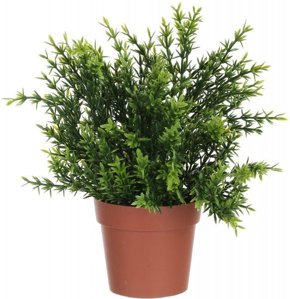 Рослина штучна Хамедорея PFC(NL)-255R