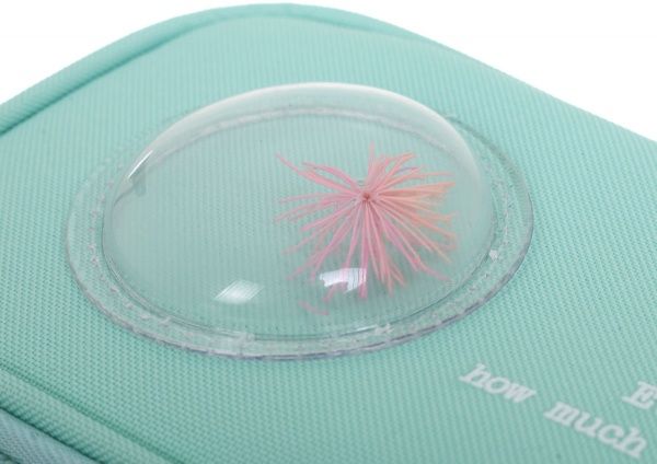 Пенал Hello с декоративным розовым растением бирюзовый с розовым