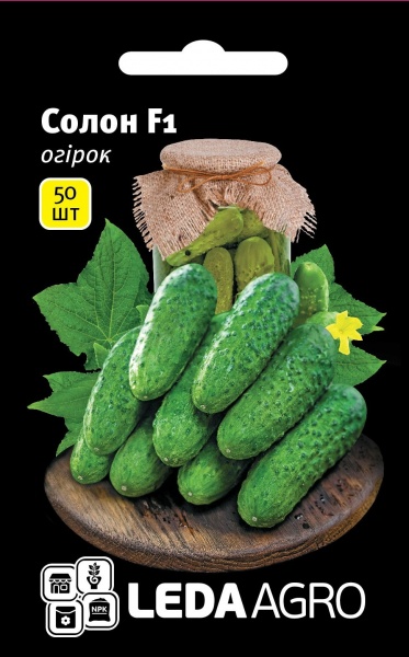 Насіння LedaAgro огірок Солон F1 50 шт. (4820119793923)