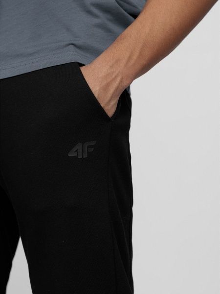 Брюки 4F D4L21-SPMD306-20S р. L черный