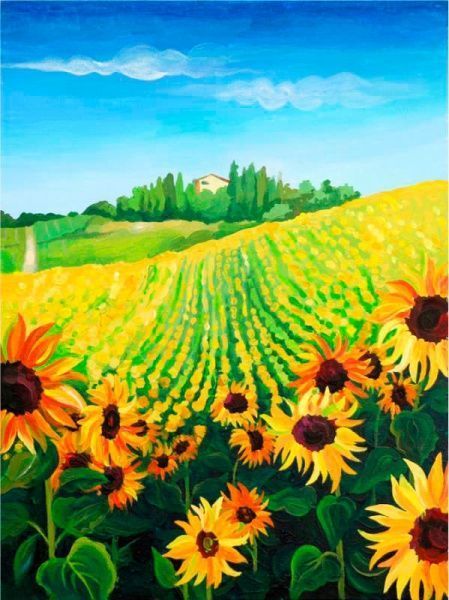 Картина по номерам Поле подсолнухов 
