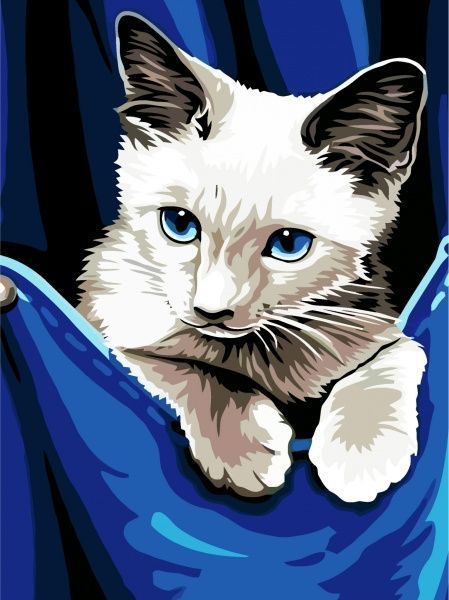 Холст на картоне с контуром Котенок 30x40 см Rosa Start 