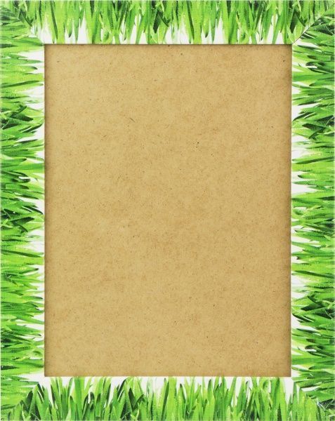 Рамка для фото FN Neuhofer Holz Трава 712606 18х24 см 