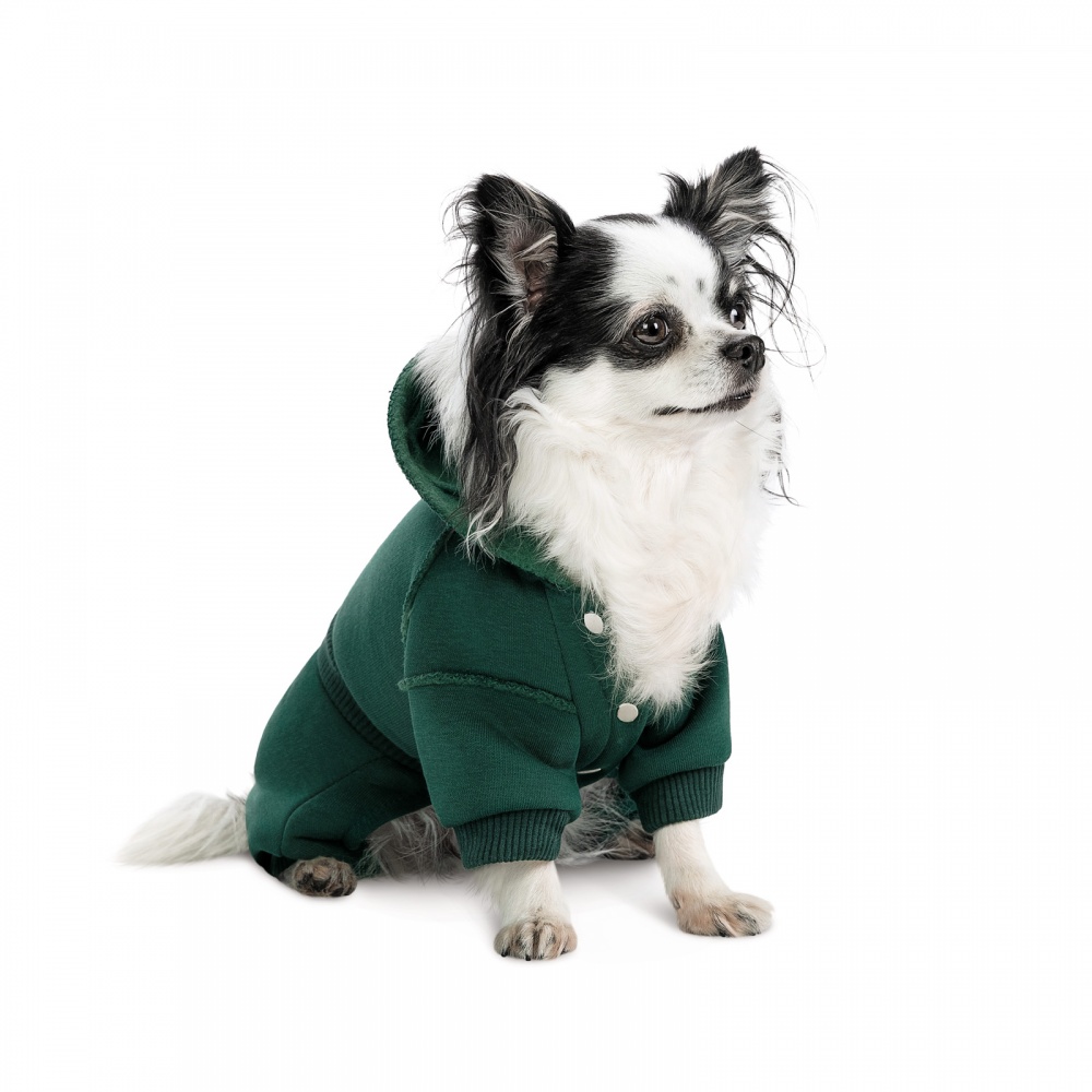 Костюм Pet Fashion Berry XS изумруд
