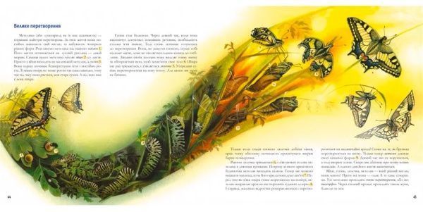 Книга «Книга. Годинник природи»