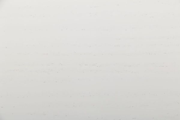 Доборная планка Terminus 2050х100х10 мм телескоп ясень белый