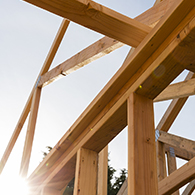 Пиломатеріали та деревні плити