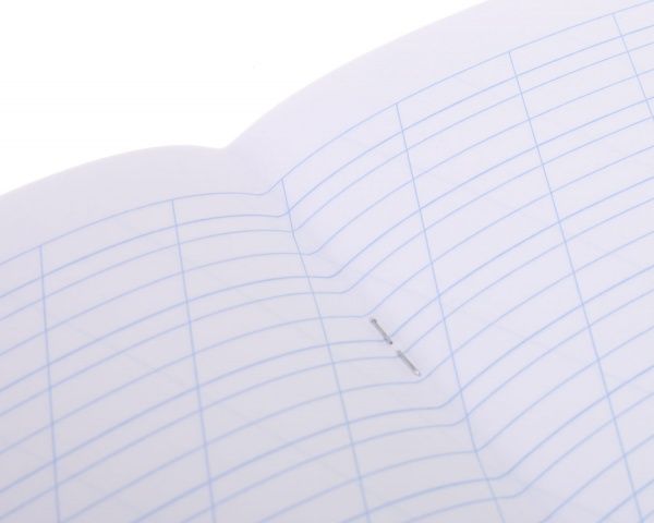 Тетрадь школьная 12 листов косая линия 52021_1 Nota Bene