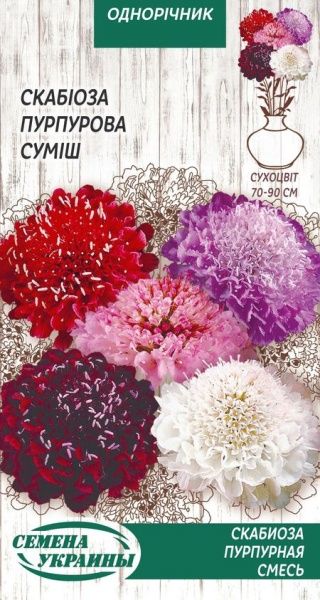 Семена Семена Украины скабиоза Пурпурная Смесь 0,3 г