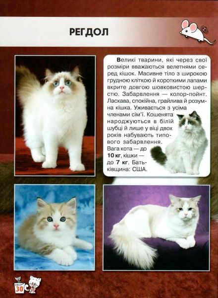 Книга Тамара Протасовицька «Світ навколо нас. Кішки» 978-966-936-750-1