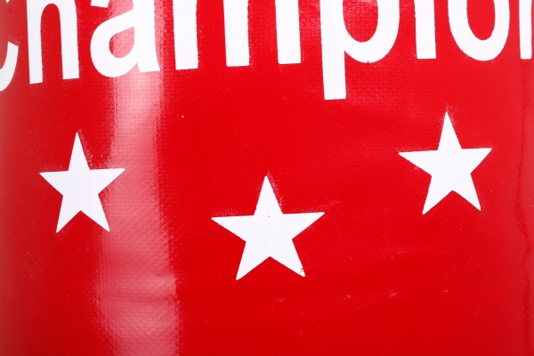 Боксерский мешок GF Champion CHM00722 90x28 см красный